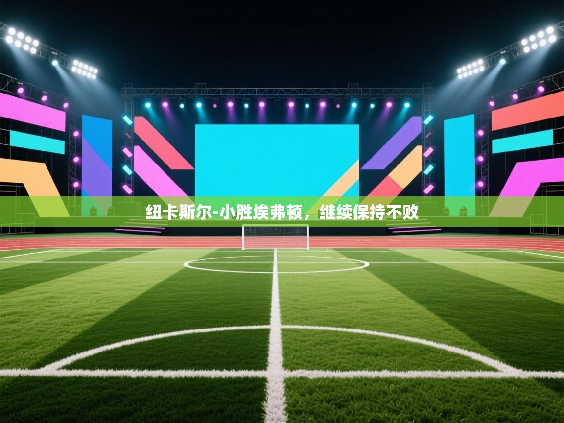 纽卡斯尔-小胜埃弗顿，继续保持不败  第2张