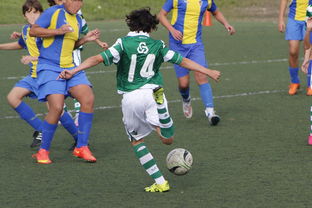 爱游戏入口-武汉卓尔不敌对手，努力白费成绩