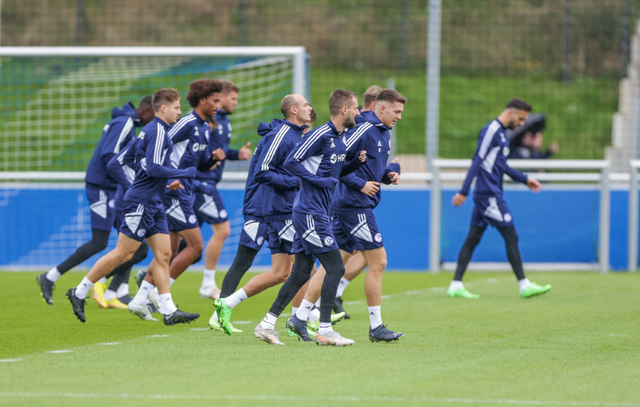 沙尔克在客场击败了霍芬海姆的比赛 沙尔克在客场击败了霍芬海姆的比赛