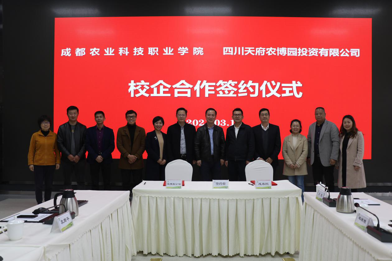 体育明星携手合作共谋新发展