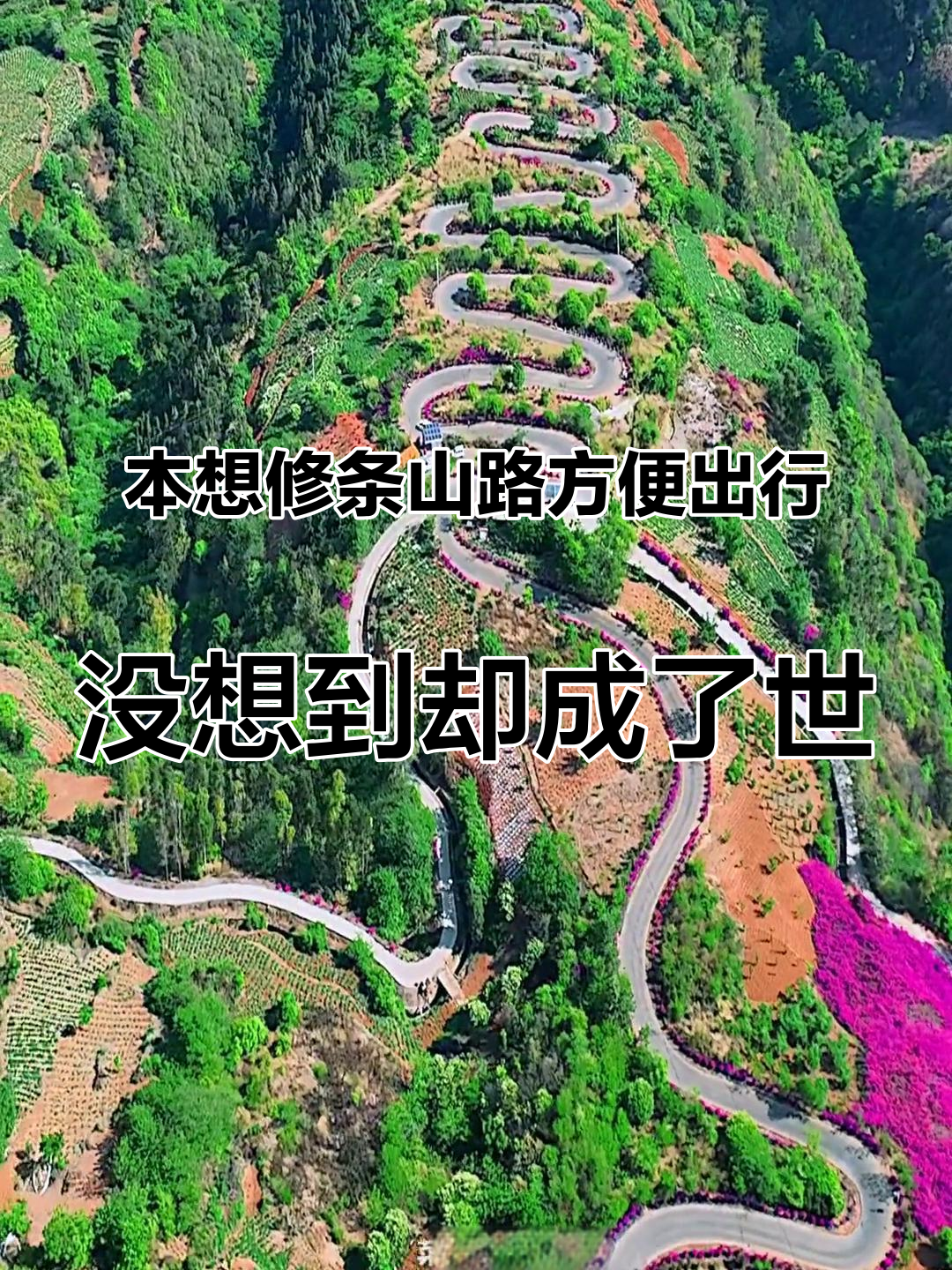 那不勒斯遭遇不敌，前进道路坎坷的简单介绍